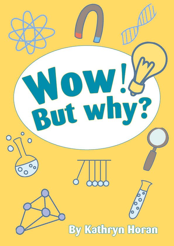 Wow! But Why? Activity - Millgate
